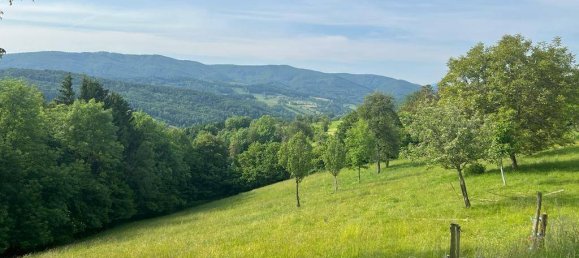  قطعة أرض في Neustift-Innermanzing, Austria رقم 64486 8