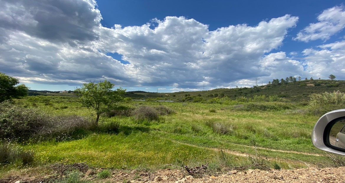 Terreno en Sao Bartolomeu de Messines, Portugal 803240 m² No. 316778
