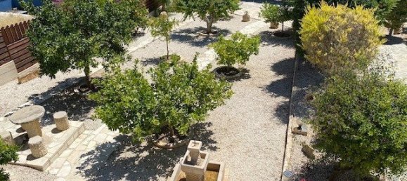 5 bedrooms House in Pegeia, Cyprus No. 9822 6