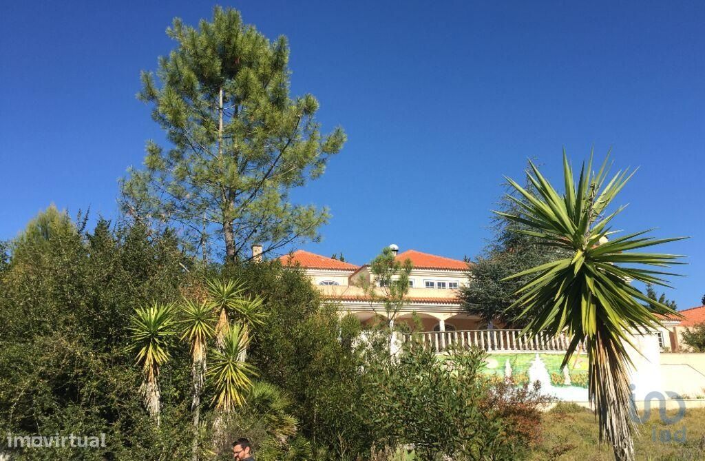 5 bedrooms Villa in Sintra, Portugal No. 45877