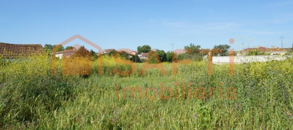 قطعة أرض في Alcobaca, Portugal 8765متر مربع رقم 90888 8