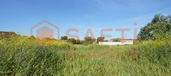 قطعة أرض في Alcobaca, Portugal 8765متر مربع رقم 90888 3