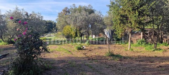 3 chambres Maison à Viterbo, Italy No. 291643 8