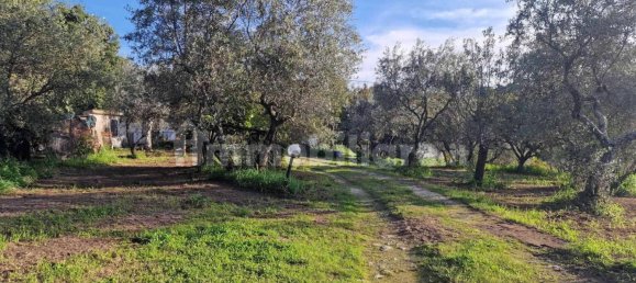 3 chambres Maison à Viterbo, Italy No. 291643 5