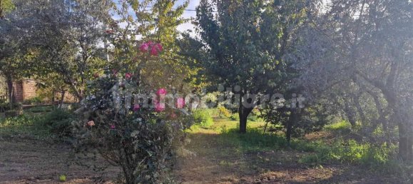 3 chambres Maison à Viterbo, Italy No. 291643 7