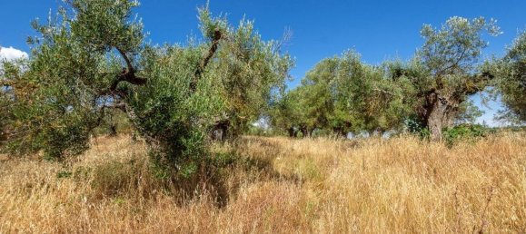 10 rooms House in Castiglione del Lago, Italy No. 58041 12