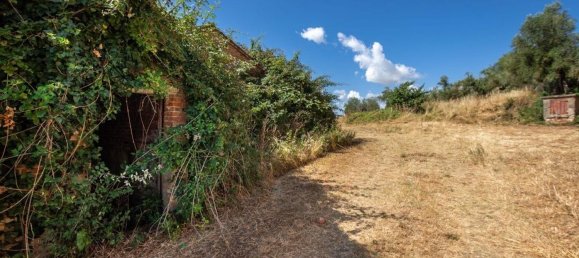 10 rooms House in Castiglione del Lago, Italy No. 58041 16