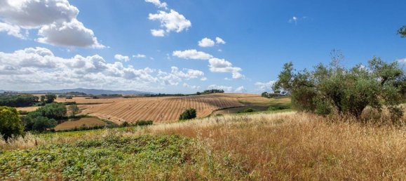 10 rooms House in Castiglione del Lago, Italy No. 58041 13