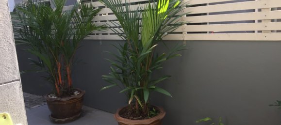 3 غرف نوم مقهى / مطعم في Pattaya, Thailand رقم 1231 11