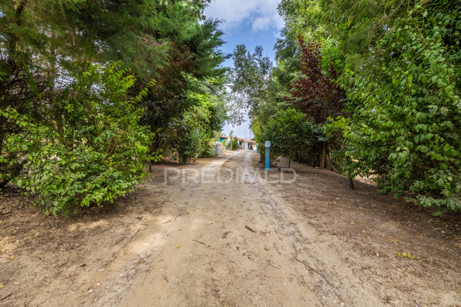 2 bedrooms House in Cela, Portugal No. 265734