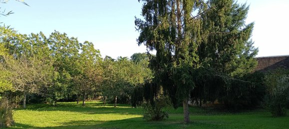 5 chambres Maison à Bailleau-l'Évêque, France No. 219722 12