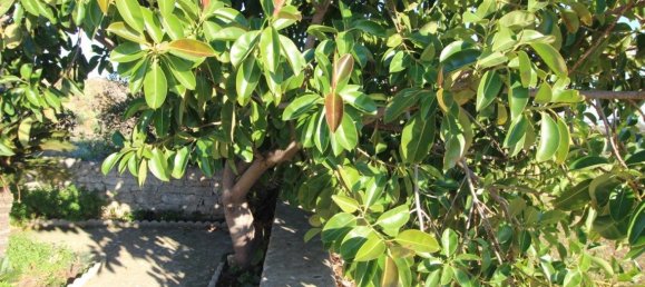 10 غرف نوم منزل في Modica, Italy رقم 360788 12