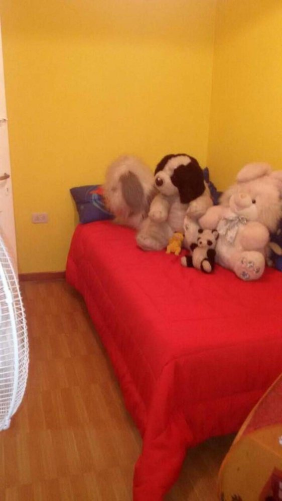 3 chambres Maison à Buenos Aires, Argentina No. 73264