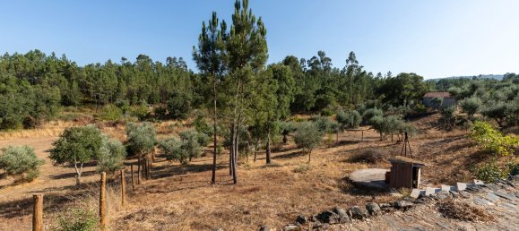3 Schlafzimmer Haus in Vila de Rei, Portugal, Nr. 253979 18
