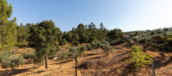 3 Schlafzimmer Haus in Vila de Rei, Portugal, Nr. 253979 19