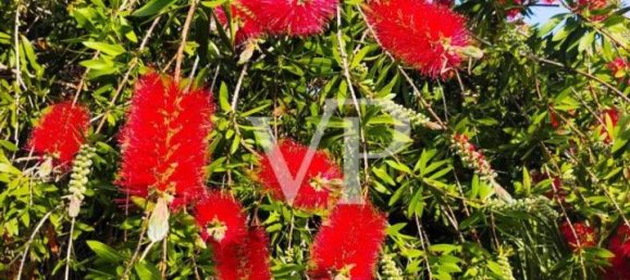 Apartamento de 3 divisões em Rosignano Marittimo, Italy N.º 24402 9