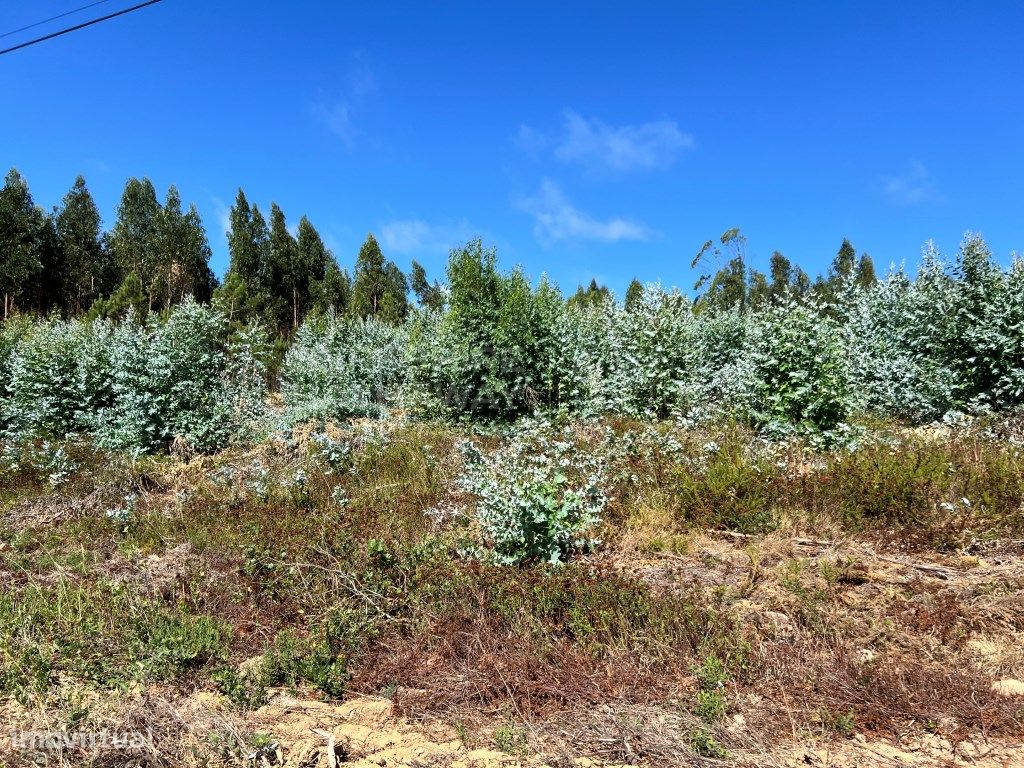 Terreno em Torres Vedras, Portugal 1000 m² N.º 299145