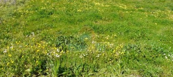 Земельный участок 394м² в Мафра, Португалия № 147739 3