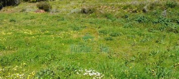 Земельный участок 394м² в Мафра, Португалия № 147739 5