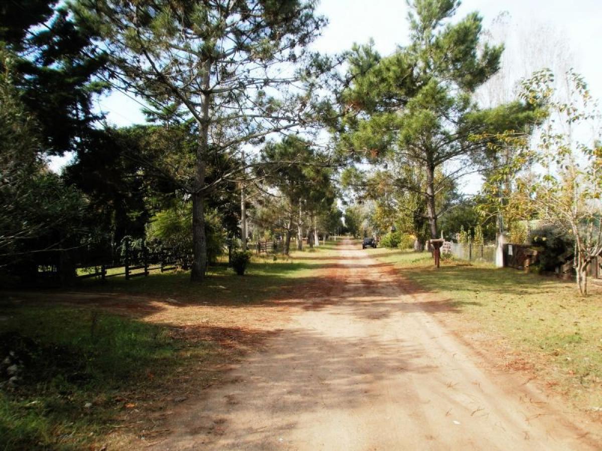  Land in Mar del Plata, Argentina No. 111439