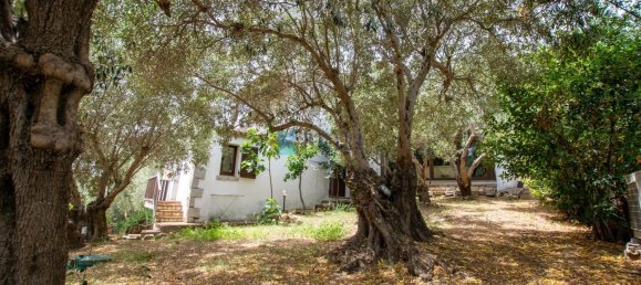 Villa de 8 habitaciónes en Loiri Porto San Paolo, Italy No. 114166 40