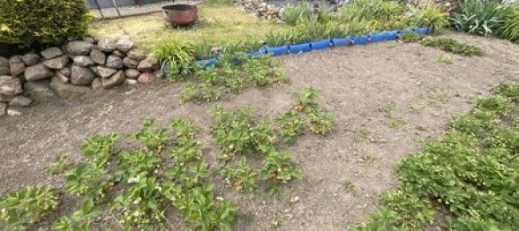 2 غرف نوم تاون هاوس في Vorpommern-Greifswald, Germany رقم 149396 20