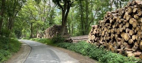 2 غرف نوم تاون هاوس في Vorpommern-Greifswald, Germany رقم 149396 30