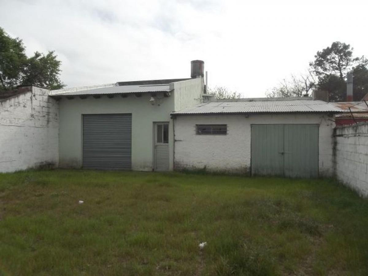 Studio in Mar del Plata, Argentina, Nr. 88817