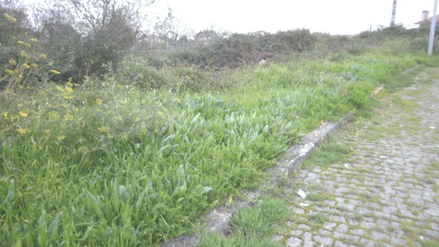  قطعة أرض في Argoncilhe, Portugal 644متر مربع رقم 70579