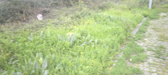 قطعة أرض في Argoncilhe, Portugal 644متر مربع رقم 70579 2