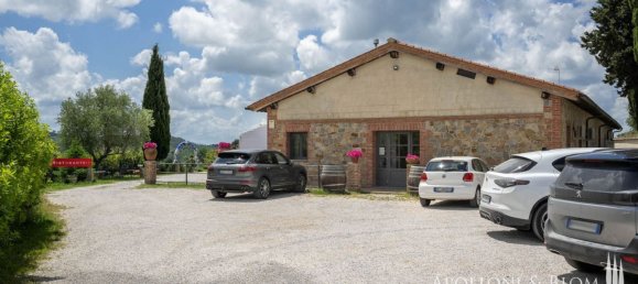 3 bedrooms Hotel in Torrita di Siena, Italy No. 53541 28