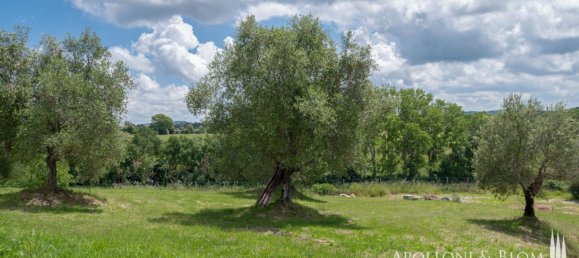 3 bedrooms Hotel in Torrita di Siena, Italy No. 53541 36