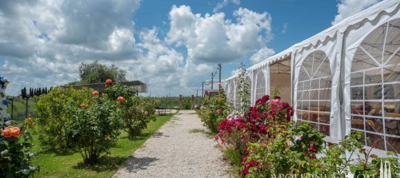 3 bedrooms Hotel in Torrita di Siena, Italy No. 53541 13