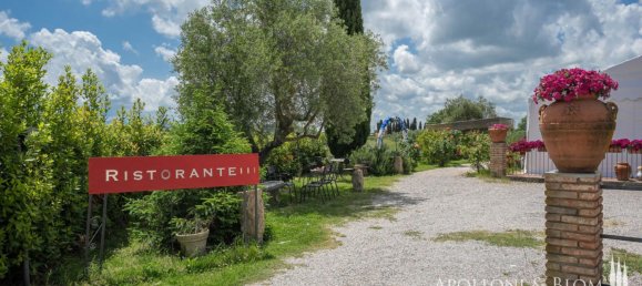 3 bedrooms Hotel in Torrita di Siena, Italy No. 53541 33