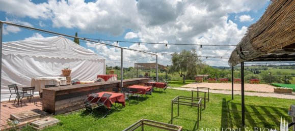 3 bedrooms Hotel in Torrita di Siena, Italy No. 53541 32