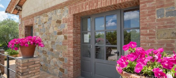 3 bedrooms Hotel in Torrita di Siena, Italy No. 53541 14