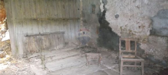 2 chambres Maison à Ferreira do Zezere, Portugal No. 185510 4