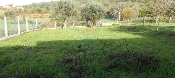 2 chambres Maison à Ferreira do Zezere, Portugal No. 185510 2