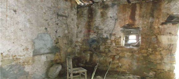 2 chambres Maison à Ferreira do Zezere, Portugal No. 185510 13