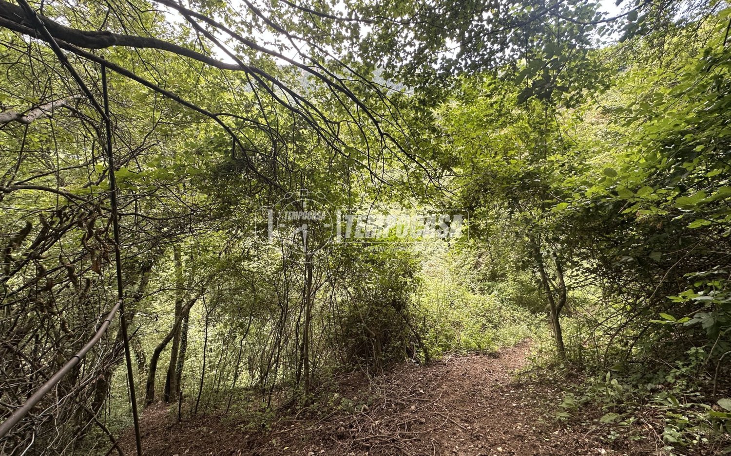 Casa de 3 habitaciónes en Tavernola Bergamasca, Italy No. 258113