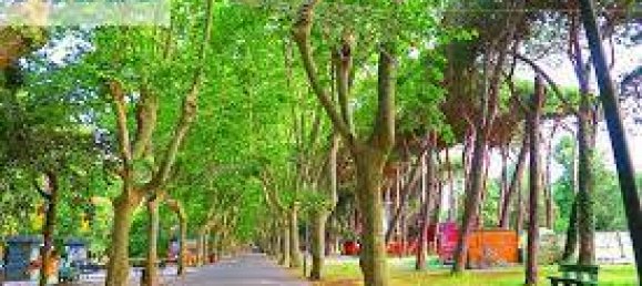 2 غرف نوم شقة في Viareggio, Italy رقم 42907 21