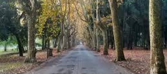 2 غرف نوم شقة في Viareggio, Italy رقم 42907 26