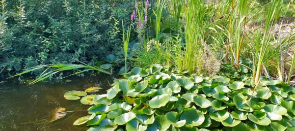 Бунгало с 3 спальнями в Йерихов, Германия № 284052 7