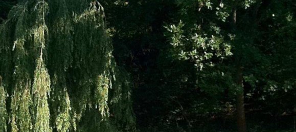 Casa de 11 divisões em Zellerndorf, Austria N.º 259969 9