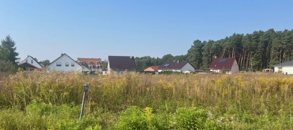  Land in Oder-Spree, Germany No. 244878 3