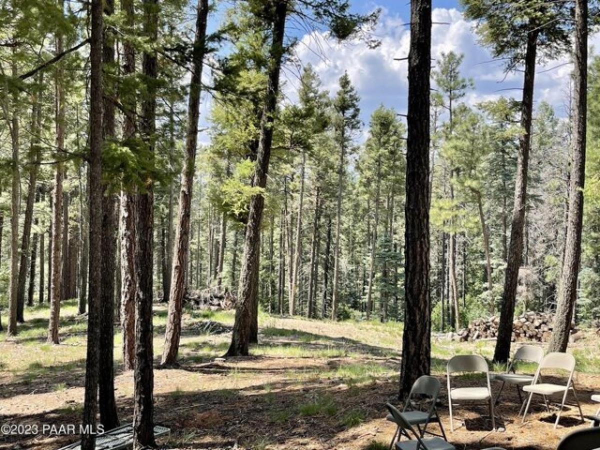 Grundstück in Prescott, USA, Nr. 486725