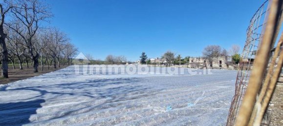 7000m² Land in Poggiomarino, Italy No. 12395 2