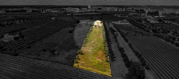 4 Schlafzimmer Haus in Reguengos de Monsaraz, Portugal, Nr. 29761 40