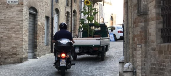 1 bedroom House in Petritoli, Italy No. 154334 18