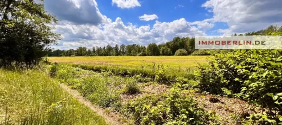 Grundstück in Oder-Spree, Germany, Nr. 40579 3